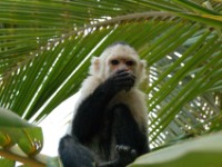 Roatan D2 DSC 0078 E1