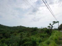 Roatan DSC 0063 E1